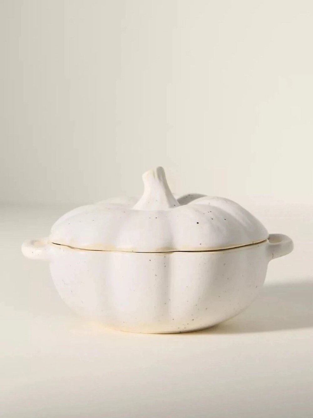 Anthropologie Speckled Stoneware Pumpkin Cocotte, Single Serve
